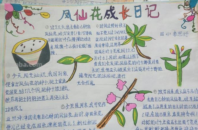 植物的手抄报怎么做 植物小报怎么做?