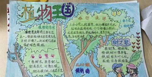 植物的手抄报怎么做 植物小报怎么做？