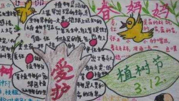 植物的手抄报怎么做 植物小报怎么做? 植物的手抄报怎么做 植物小报怎么做?