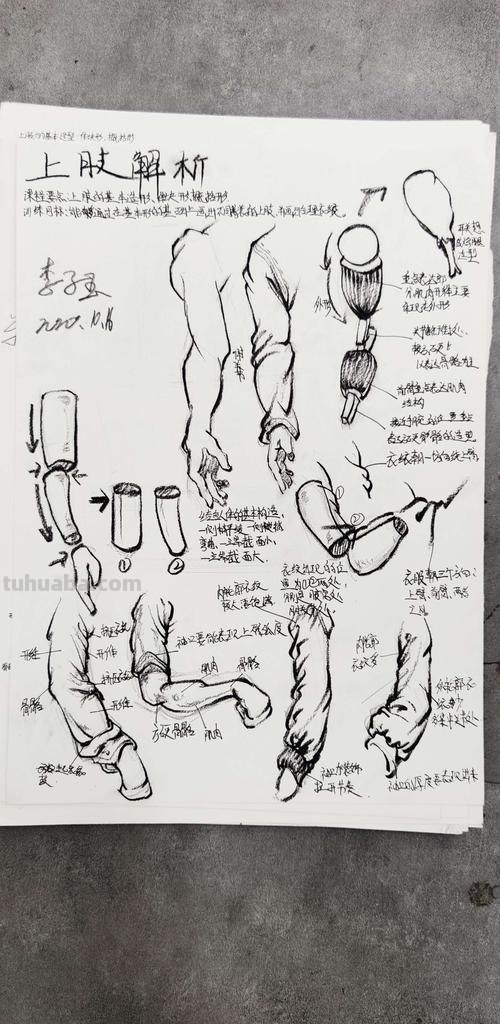 速写人体手臂 速写大胳膊长还是小胳膊长？