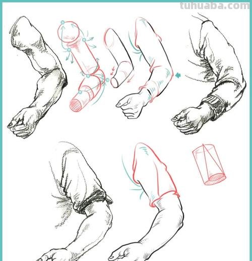 速写人体手臂 速写大胳膊长还是小胳膊长？