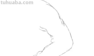 速写人体手臂 速写大胳膊长还是小胳膊长？