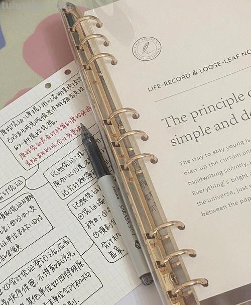 思维导图是什么本子 什么是思维导图通俗一点？