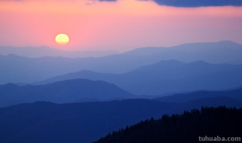 幼儿游戏分为几种类型