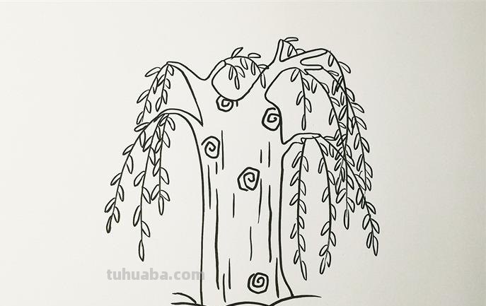 柳树的简笔画怎么画 如何画柳树枝条?