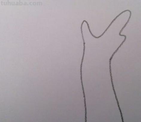 柳树的简笔画怎么画 如何画柳树枝条? 柳树的简笔画怎么画 如何画柳树枝条?