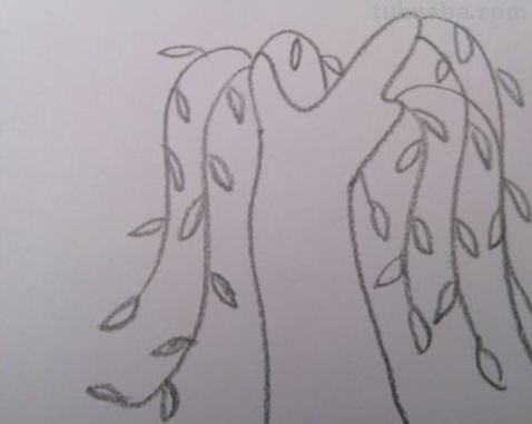 柳树的简笔画怎么画 如何画柳树枝条? 柳树的简笔画怎么画 如何画柳树枝条?