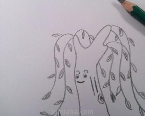 柳树的简笔画怎么画 如何画柳树枝条? 柳树的简笔画怎么画 如何画柳树枝条?