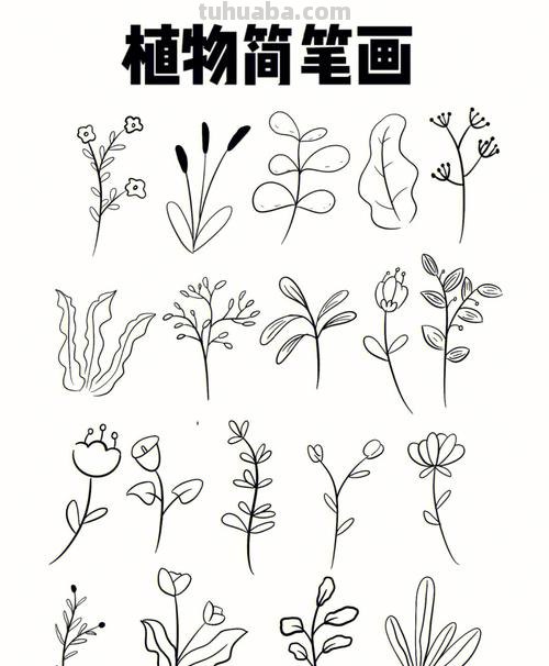 简单几笔就能搞定的绿植简笔画素材~