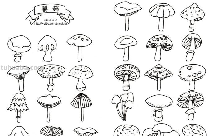 简单几笔就能搞定的绿植简笔画素材~