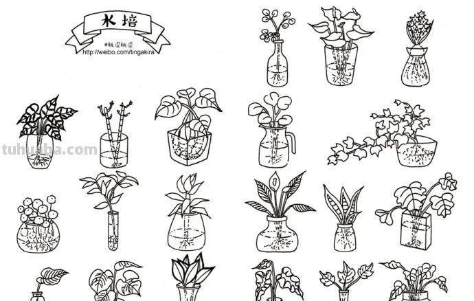 简单几笔就能搞定的绿植简笔画素材~