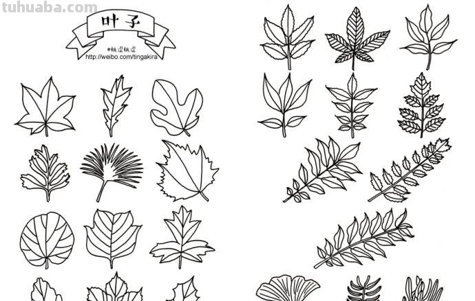 简单几笔就能搞定的绿植简笔画素材~