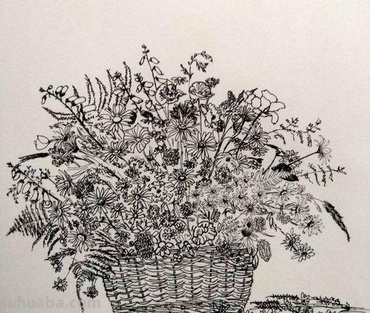 速写圣诞花 速写一盆花要多长时间？