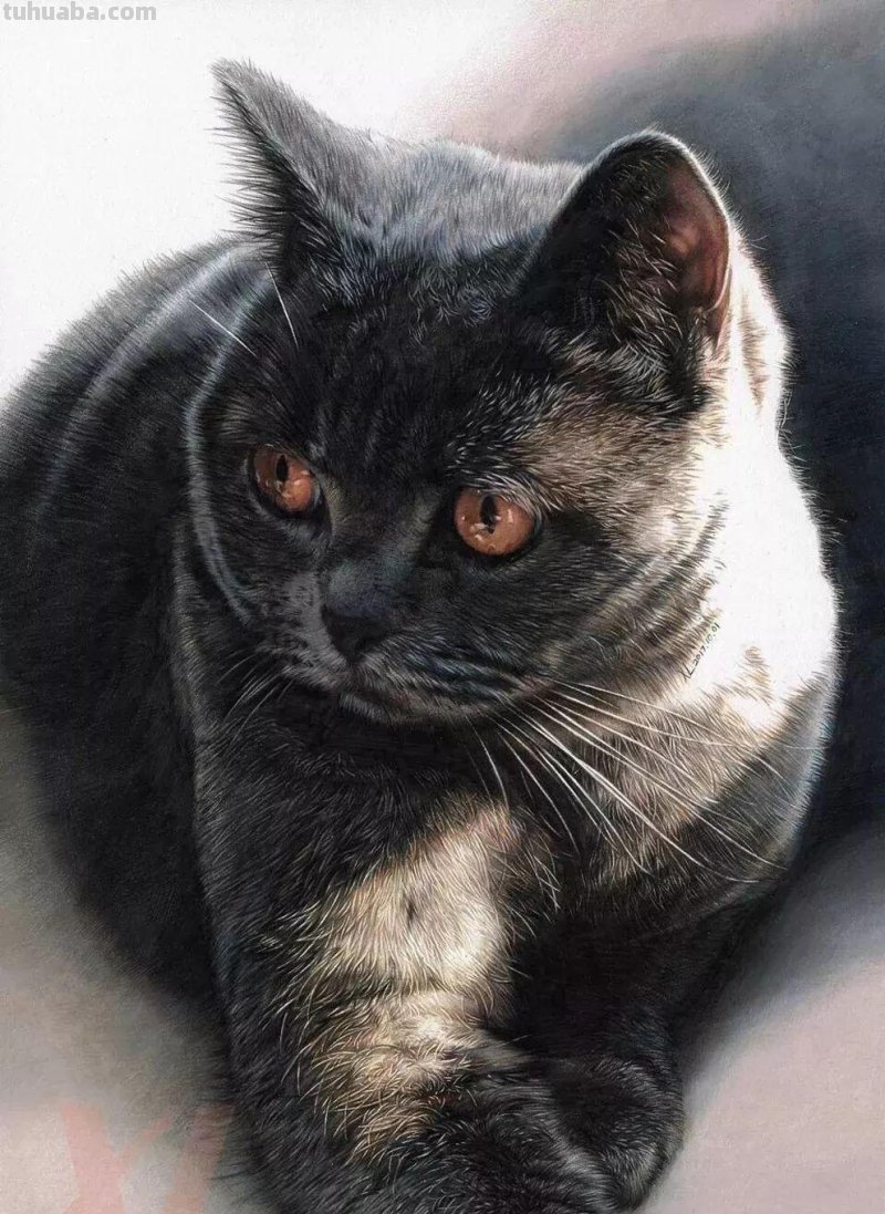 清华男神用彩铅画活万千美少女,笔下肖战逼真到“变态”,我跪了 清华男神用彩铅画活万千美少女,笔下肖战逼真到“变态”,我跪了