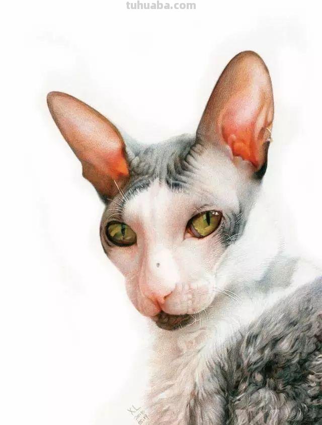 清华男神用彩铅画活万千美少女,笔下肖战逼真到“变态”,我跪了 清华男神用彩铅画活万千美少女,笔下肖战逼真到“变态”,我跪了