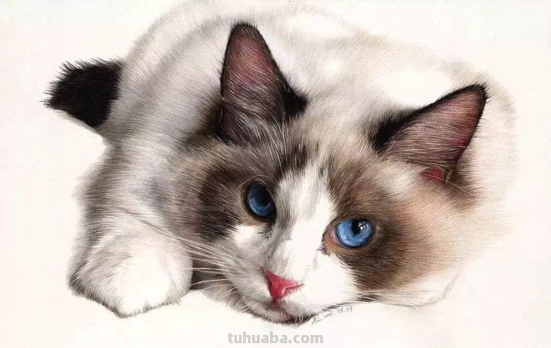 清华男神用彩铅画活万千美少女,笔下肖战逼真到“变态”,我跪了 清华男神用彩铅画活万千美少女,笔下肖战逼真到“变态”,我跪了