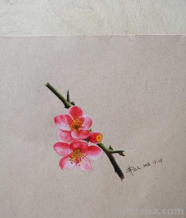 红梅枝怎么画彩铅 如何画梅花,这是美术作业,铅笔和水彩笔都行?
