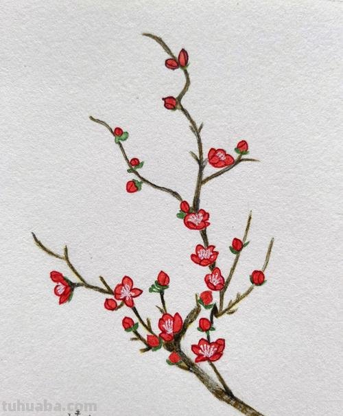 红梅枝怎么画彩铅 如何画梅花，这是美术作业，铅笔和水彩笔都行？