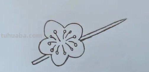 红梅枝怎么画彩铅 如何画梅花,这是美术作业,铅笔和水彩笔都行? 红梅枝怎么画彩铅 如何画梅花,这是美术作业,铅笔和水彩笔都行?