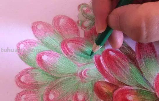 粉色格子怎么画彩铅 彩铅画基础入门教程?