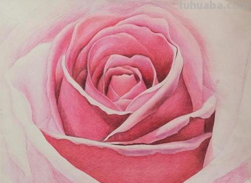 粉色格子怎么画彩铅 彩铅画基础入门教程？