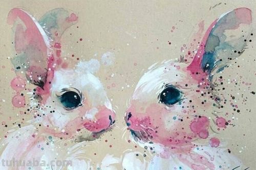精美绝伦 一组画风飘逸的动物水彩画