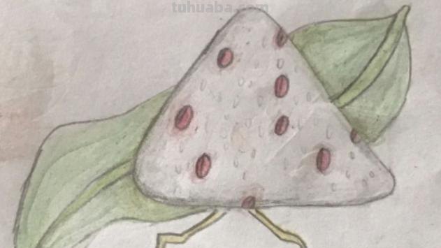 狐狸和猫手抄报怎么画粽子 一二三年级粽子画? 狐狸和猫手抄报怎么画粽子 一二三年级粽子画?