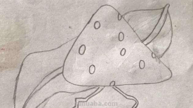 狐狸和猫手抄报怎么画粽子 一二三年级粽子画? 狐狸和猫手抄报怎么画粽子 一二三年级粽子画?