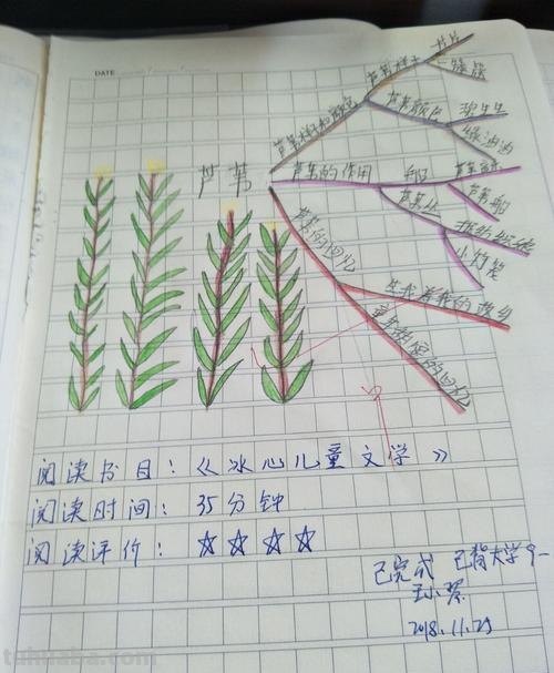 芦苇的思维导图怎么 一分钟了解芦苇?