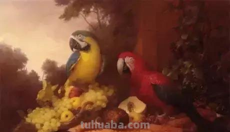 静物花卉油画 乌克兰Sevryukov dmitry作品欣赏