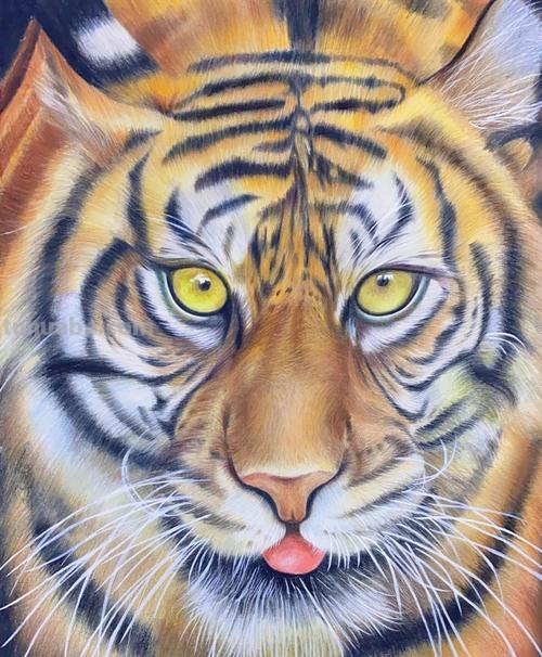 油画彩铅怎么画老虎 画虎教程？