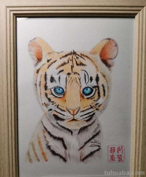 油画彩铅怎么画老虎 画虎教程？