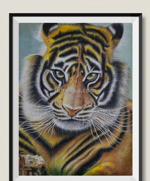 油画彩铅怎么画老虎 画虎教程？