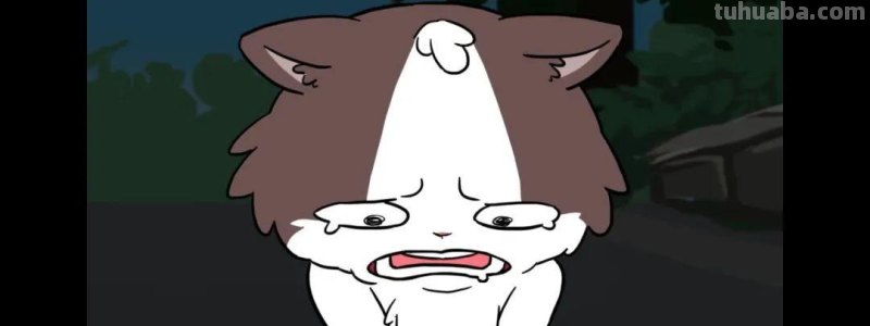 在抖音做原创动画，三百万人陪他们失眠