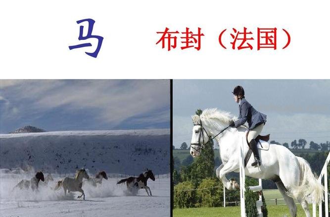 布封是法国著名的什么家 布封是法国著名的什么家什么家