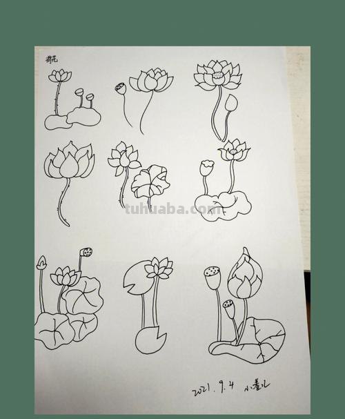 荷花的简笔画怎么画 简笔画荷花的画法?