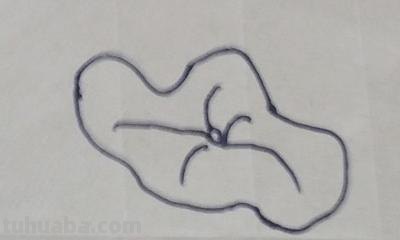 荷花的简笔画怎么画 简笔画荷花的画法? 荷花的简笔画怎么画 简笔画荷花的画法?