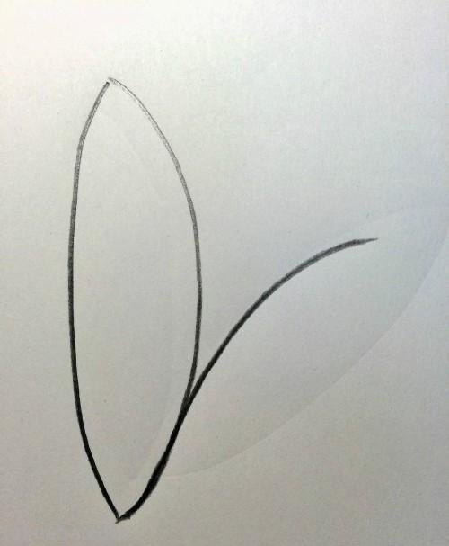 荷花的简笔画怎么画 简笔画荷花的画法? 荷花的简笔画怎么画 简笔画荷花的画法?