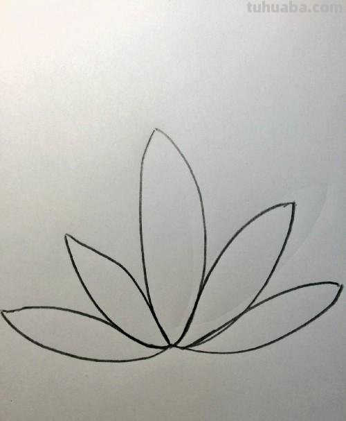 荷花的简笔画怎么画 简笔画荷花的画法? 荷花的简笔画怎么画 简笔画荷花的画法?
