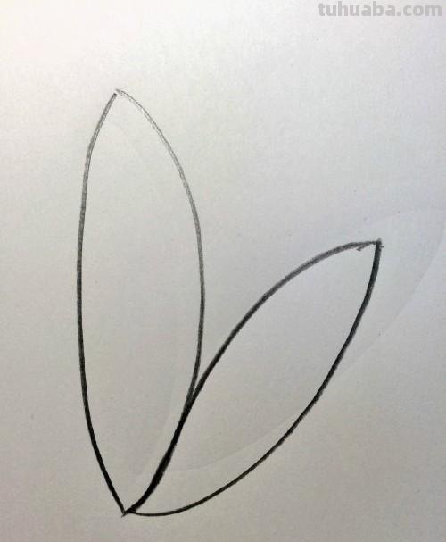 荷花的简笔画怎么画 简笔画荷花的画法? 荷花的简笔画怎么画 简笔画荷花的画法?