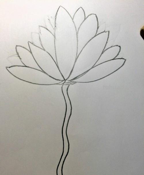 荷花的简笔画怎么画 简笔画荷花的画法? 荷花的简笔画怎么画 简笔画荷花的画法?