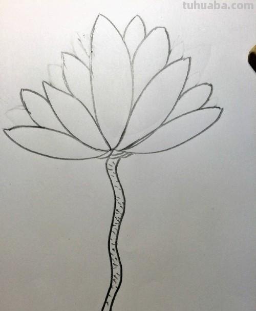 荷花的简笔画怎么画 简笔画荷花的画法? 荷花的简笔画怎么画 简笔画荷花的画法?