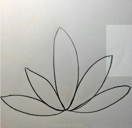 荷花的简笔画怎么画 简笔画荷花的画法? 荷花的简笔画怎么画 简笔画荷花的画法?