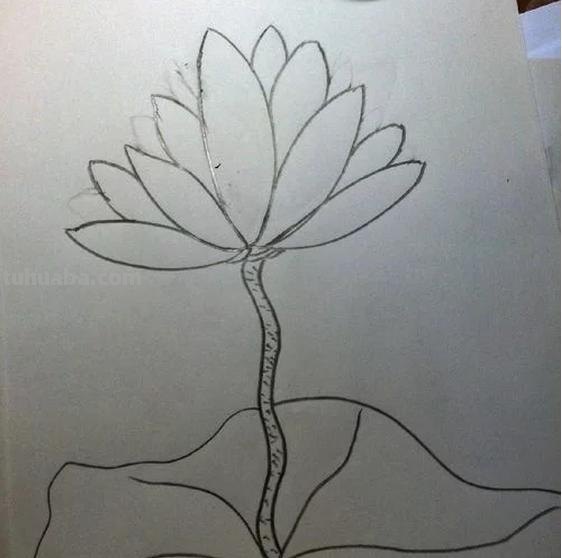 荷花的简笔画怎么画 简笔画荷花的画法? 荷花的简笔画怎么画 简笔画荷花的画法?
