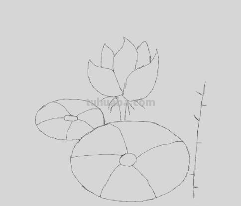 荷花的简笔画怎么画 简笔画荷花的画法? 荷花的简笔画怎么画 简笔画荷花的画法?