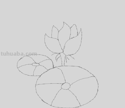 荷花的简笔画怎么画 简笔画荷花的画法? 荷花的简笔画怎么画 简笔画荷花的画法?