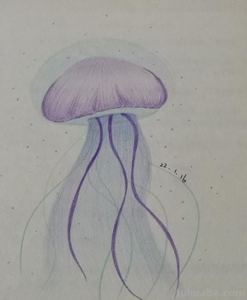 水母怎么画彩铅梦幻 如何画蛋仔水母？