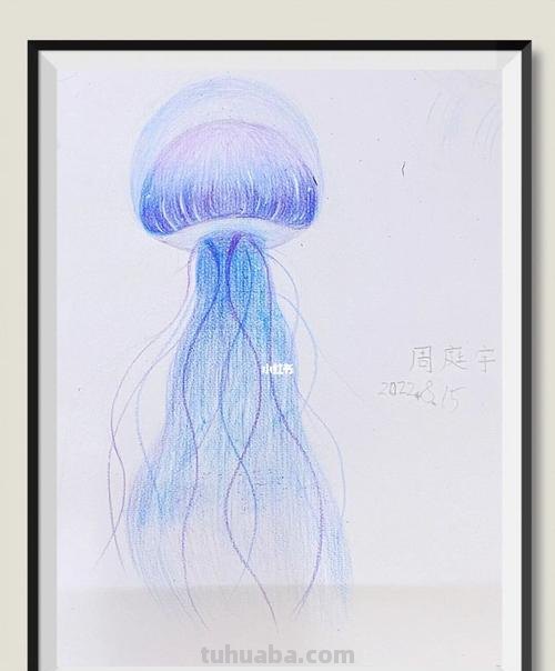 水母怎么画彩铅梦幻 如何画蛋仔水母？
