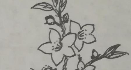 桃花的简笔画怎么画 怎么画桃花? 桃花的简笔画怎么画 怎么画桃花?