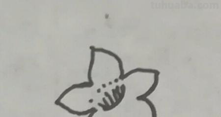 桃花的简笔画怎么画 怎么画桃花? 桃花的简笔画怎么画 怎么画桃花?